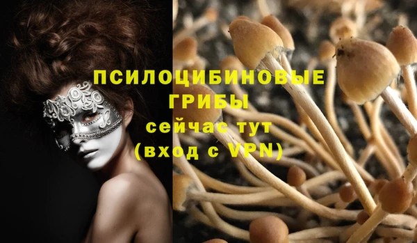 спайс Алексин