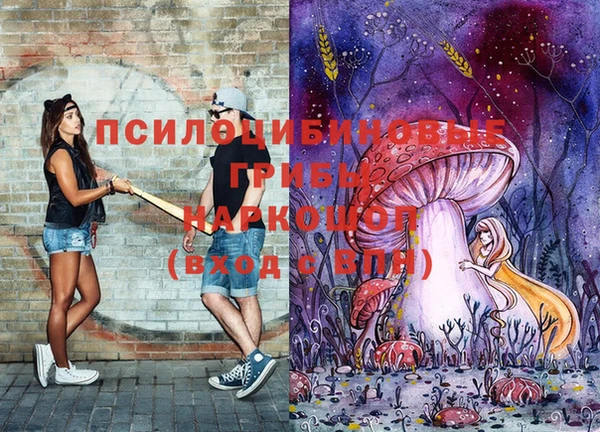 каннабис Арсеньев